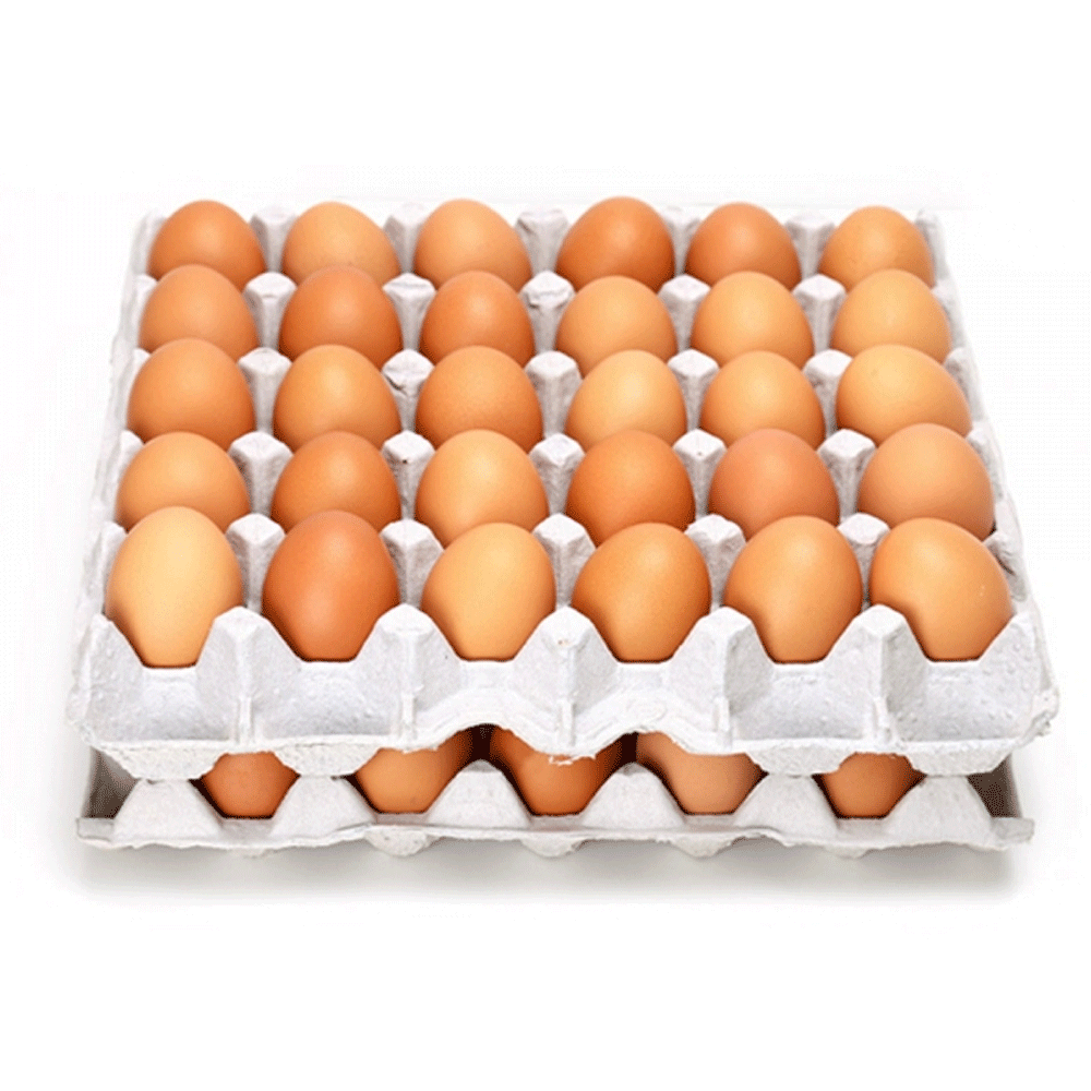 kz부활절구운계란 달걀 미포장 2판단위로 판매- 6069