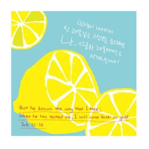 디자인카드-7/레몬