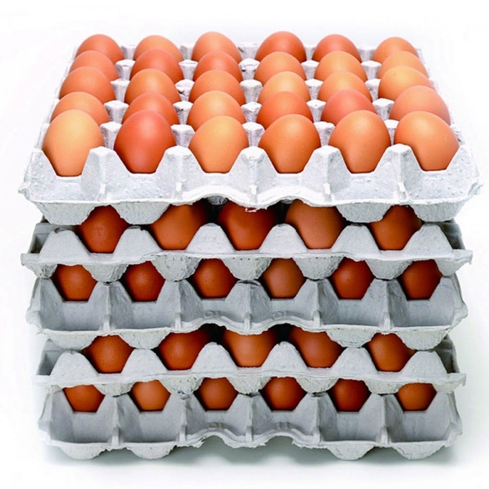 kz부활절구운계란 달걀 미포장 5판 단위로 발송- 6069